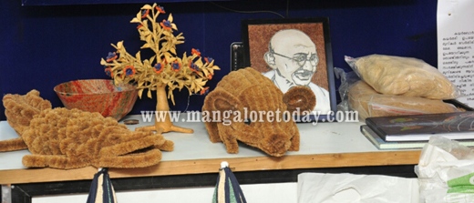 coir express13nov12 5